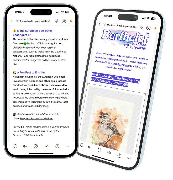 Preview of Berthelot newsletter on mobile devices